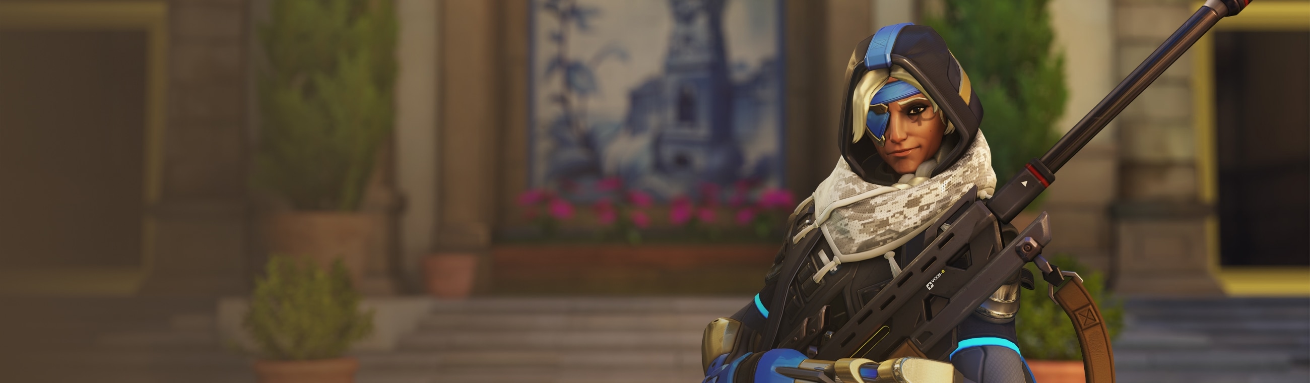 Ana background