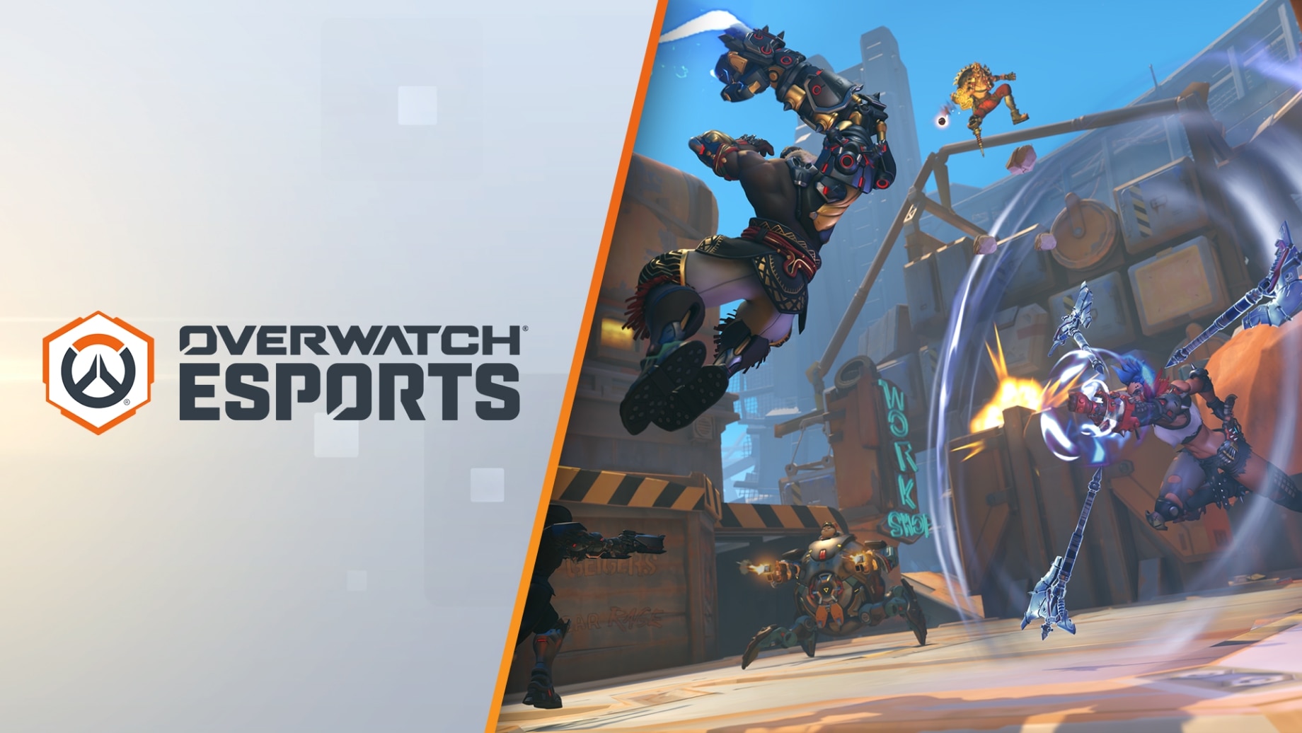 Overwatch e deals shop