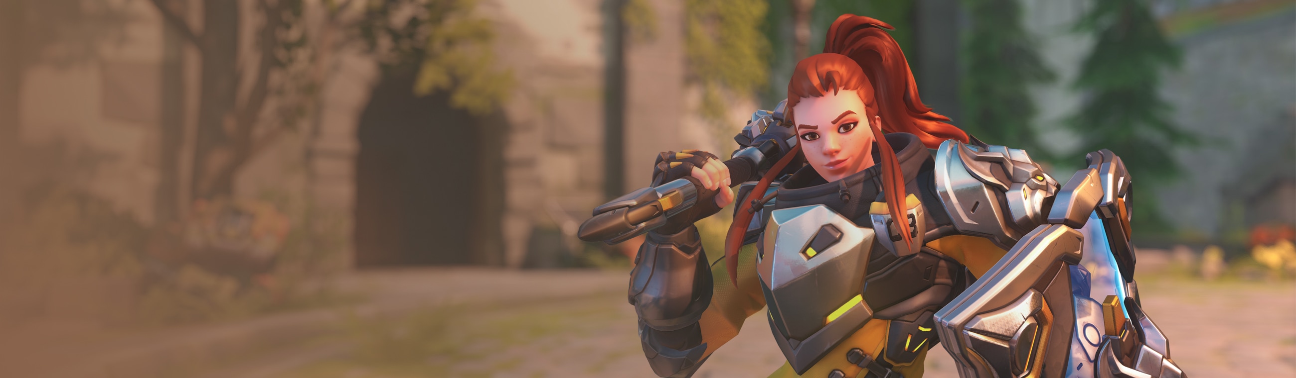 Brigitte background