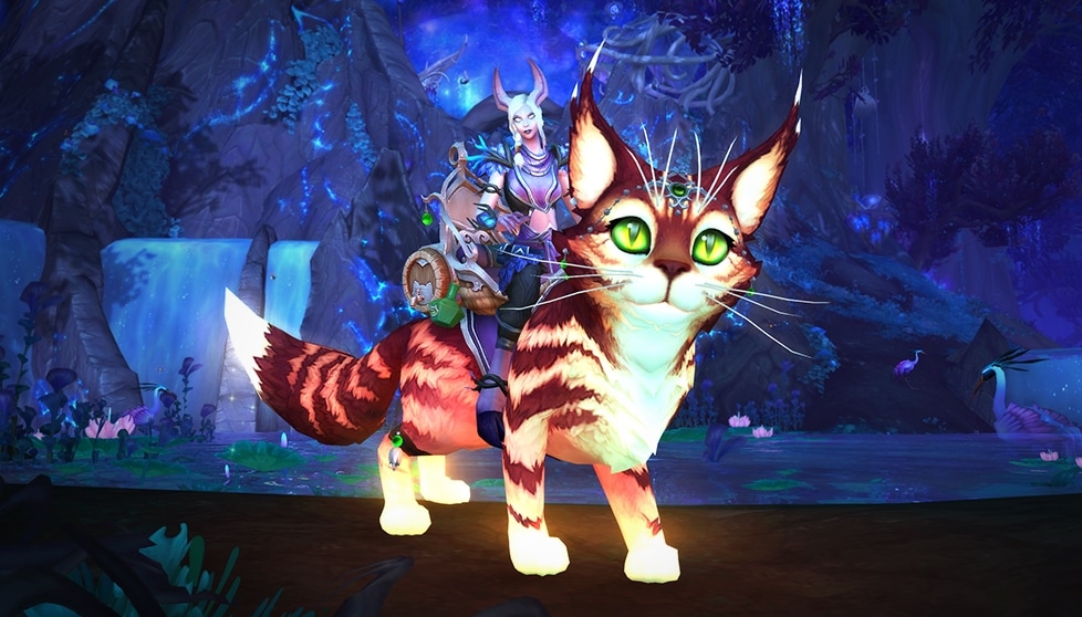 태양의 온기를 받은 복슬냥이 - 월드 오브 워크래프트 | Battle.net